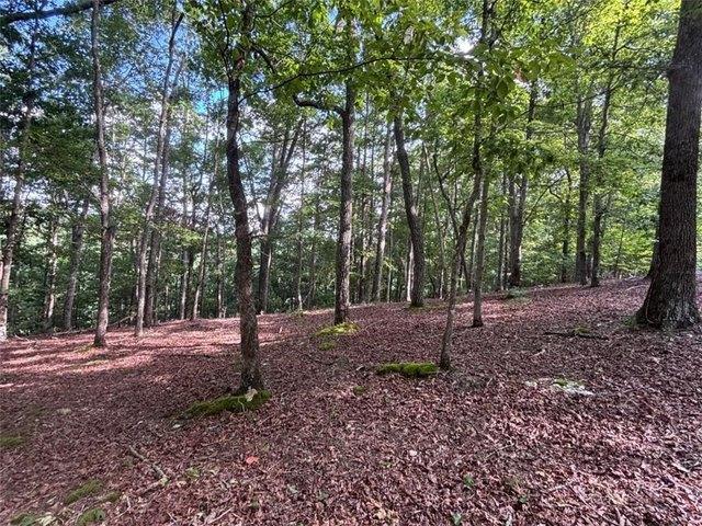 Land for sale in Blairsville, Georgia