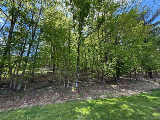 Land for sale in Accord, New York