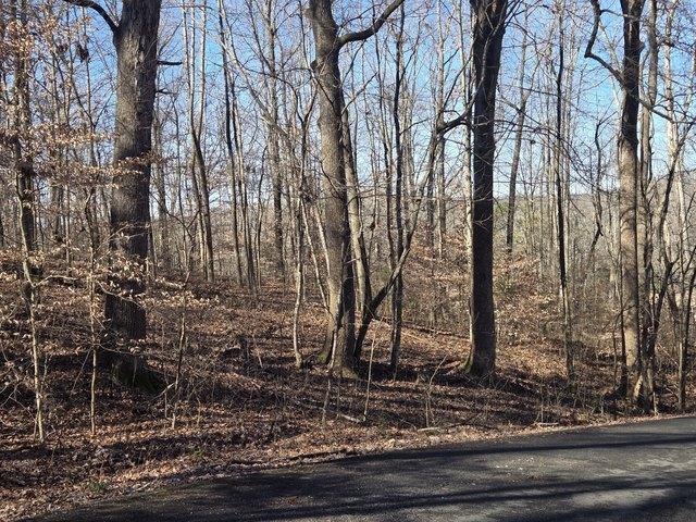 Land for sale in Tennessee