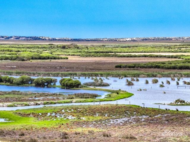 Cottage for sale in Hindmarsh Island, South Australia