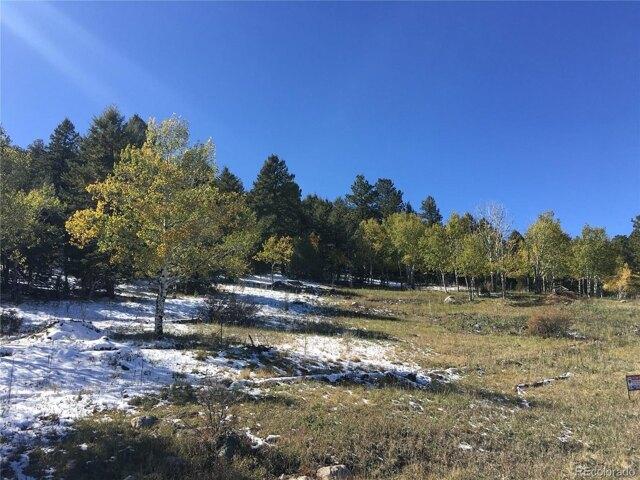 Land for sale in Pine