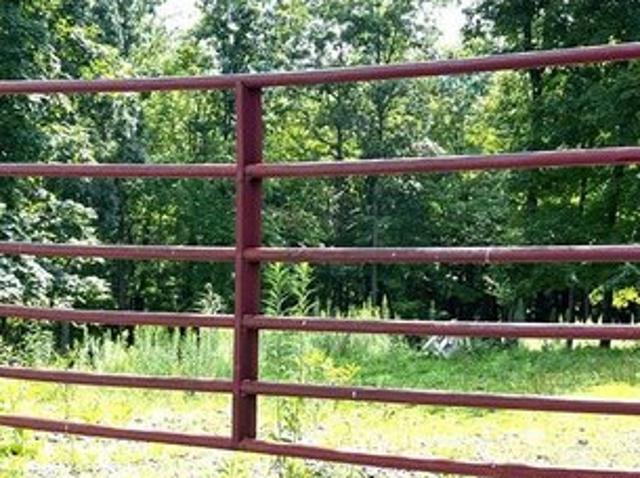 Land for sale in New Martinsville, West Virginia