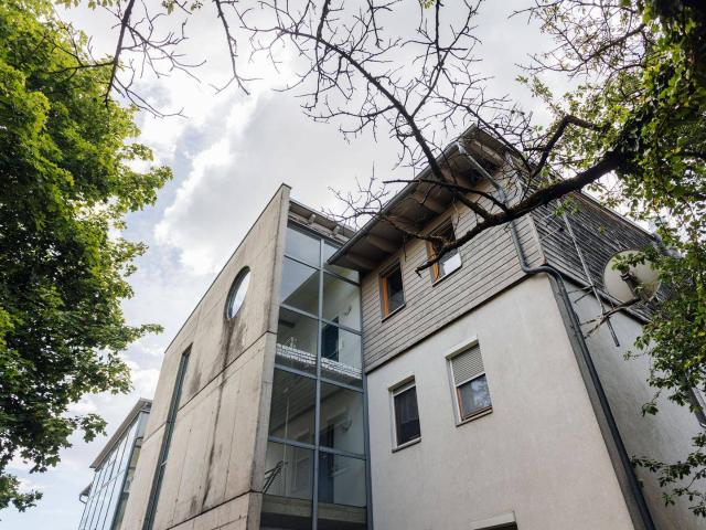 Apartment kaufen in Gersdorf-Feistritz, Steiermark