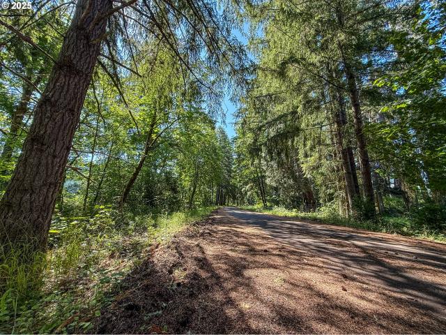 Land for sale in Cottage Grove
