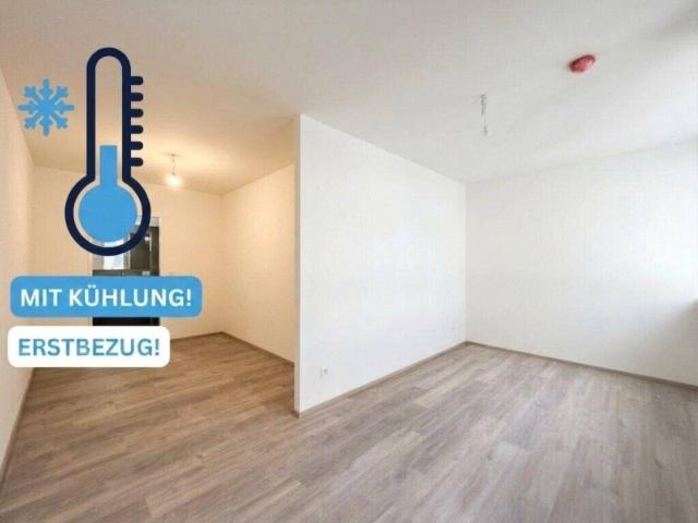 Apartment mieten in Wien