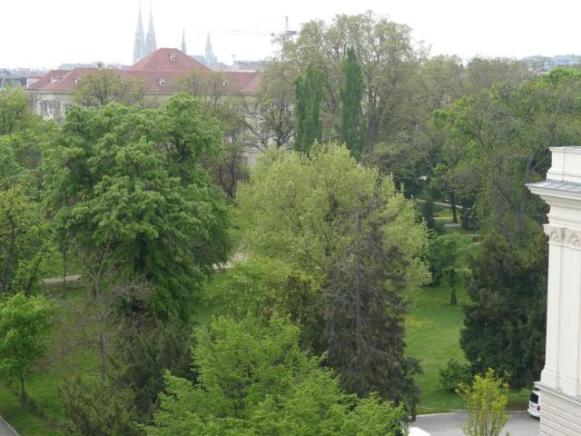 Zimmer mieten in KG Alsergrund, Wien