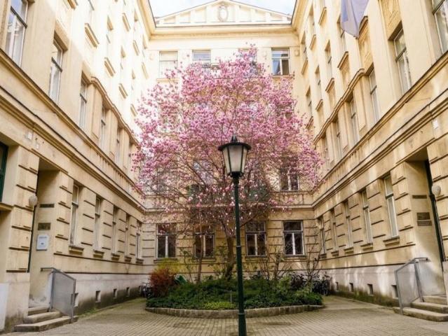 Zimmer mieten in KG Innere Stadt, Wien