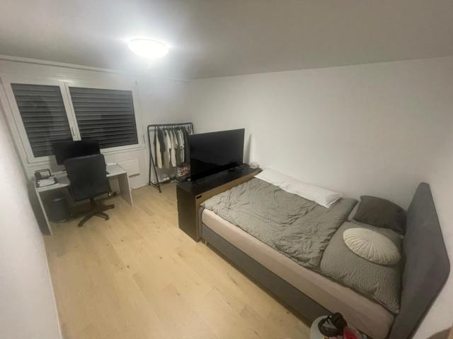 Zimmer mieten in Murifeld, Bern