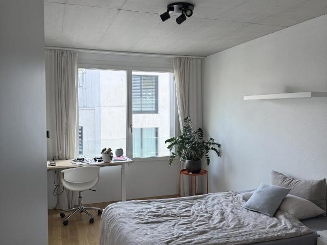 Zimmer mieten in Kleinstadt, Luzern