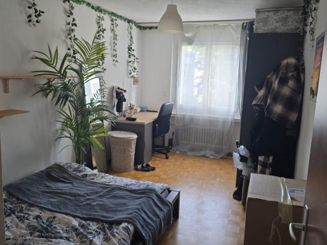 Zimmer mieten in Lü