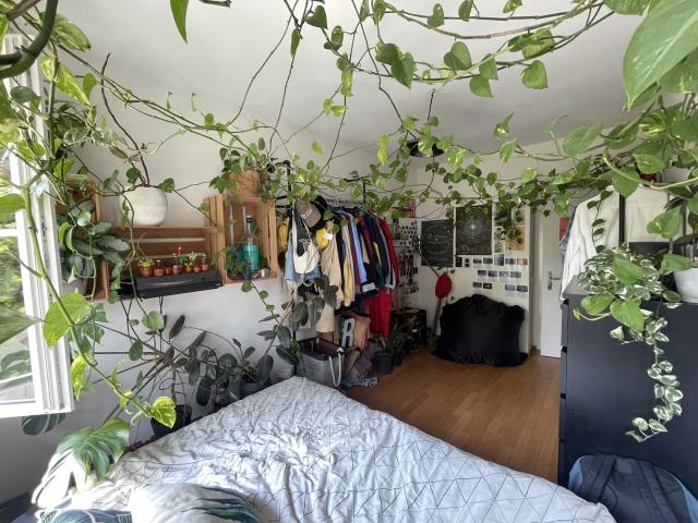 Zimmer mieten in Lü