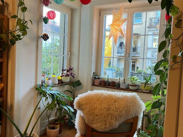 Zimmer mieten in Oberstrass, Zürich
