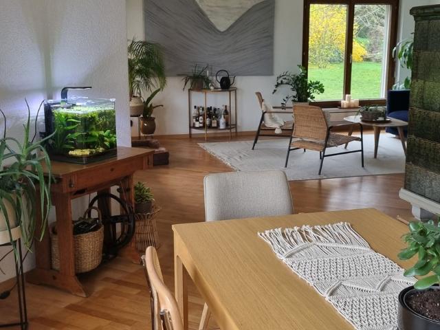 Zimmer mieten in Einigen, Zürich