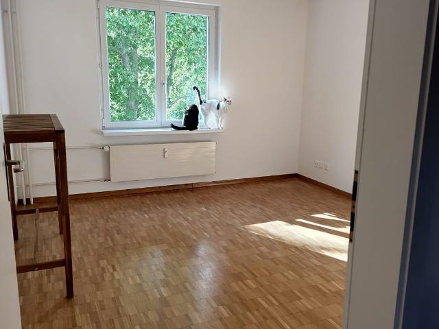 Zimmer mieten in Einigen, Zürich