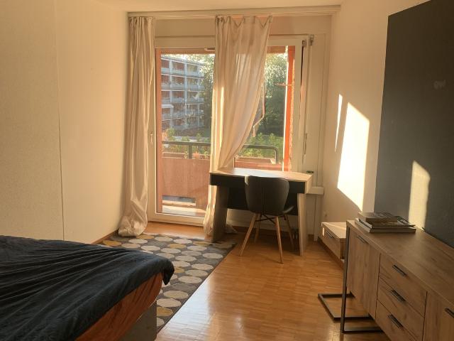 Zimmer mieten in Friesenberg, Zürich