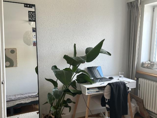 Zimmer mieten in Affoltern, Zürich