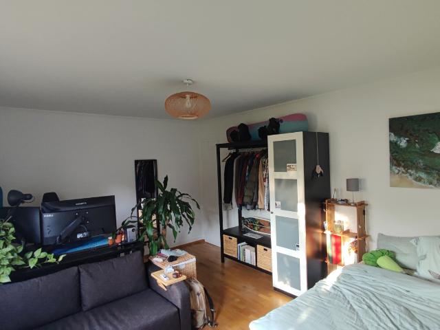 Zimmer mieten in Einigen, Zürich