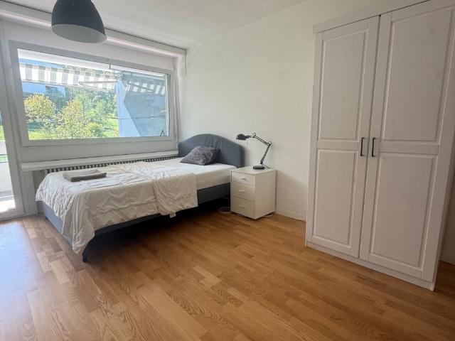 Zimmer mieten in Friesenberg, Zürich