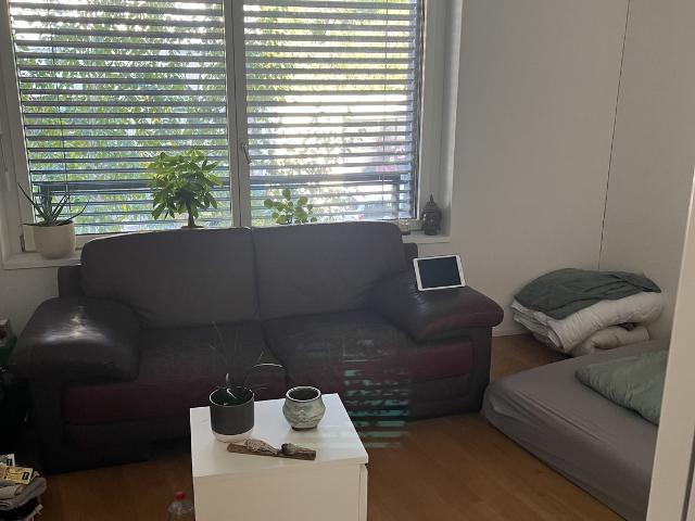 Zimmer mieten in Eichliacker, Winterthur