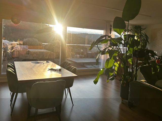 Zimmer mieten in Härti, Winterthur