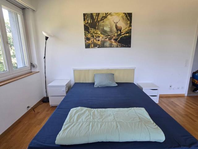 Zimmer mieten in Einigen, Zürich