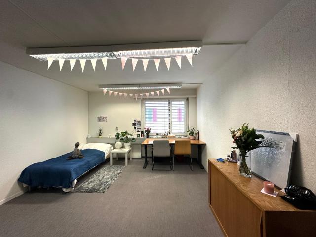 Zimmer mieten in Tössfeld, Winterthur