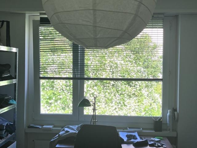 Zimmer mieten in Einigen, Zürich