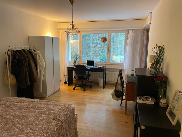 Zimmer mieten in Einigen, Zürich
