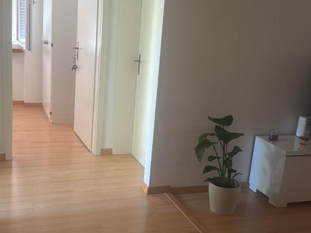 Zimmer mieten in Einigen, Zürich