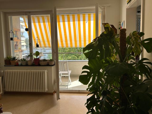 Zimmer mieten in Altstetten, Zürich