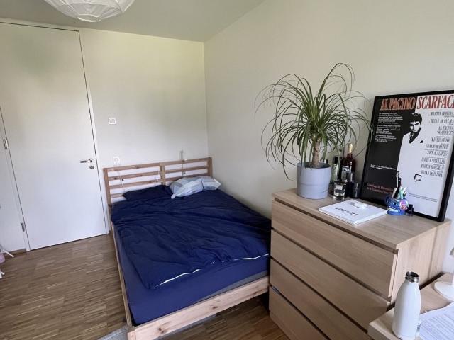 Zimmer mieten in Wipkingen, Zürich
