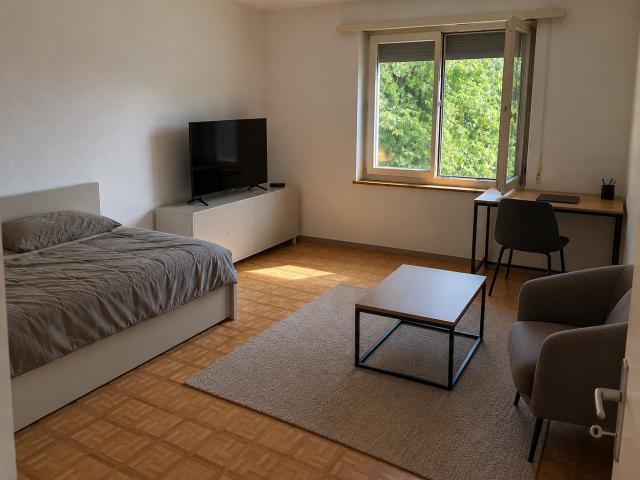 Zimmer mieten in Waser, Winterthur