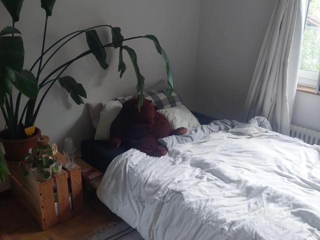 Zimmer mieten in Holligen, Bern