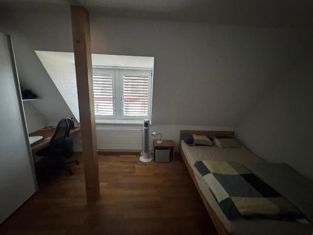 Zimmer mieten in Einigen, Zürich