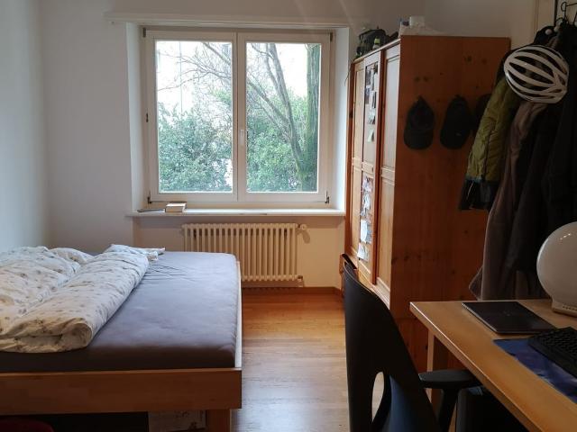 Zimmer mieten in Daleu, Chur