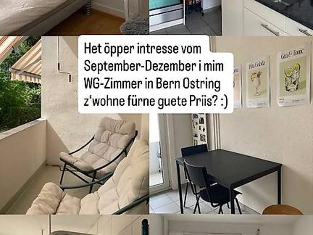 Zimmer mieten in Bern