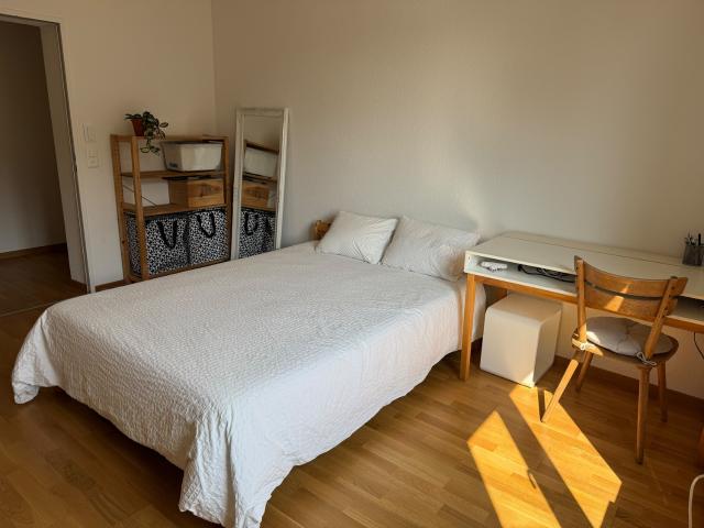 Zimmer mieten in Wipkingen, Zürich