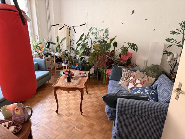 Zimmer mieten in Langstrasse, Zürich