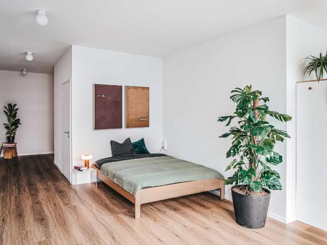 Zimmer mieten in Einigen, Zürich