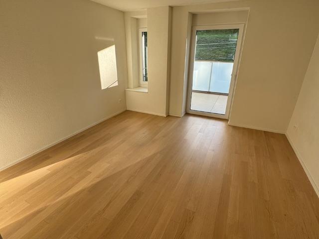 Zimmer mieten in Wollishofen, Zürich