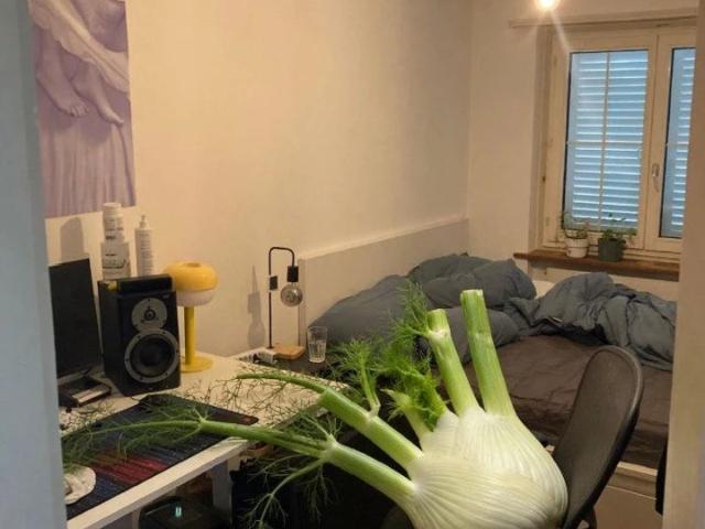 Zimmer mieten in Einigen, Zürich