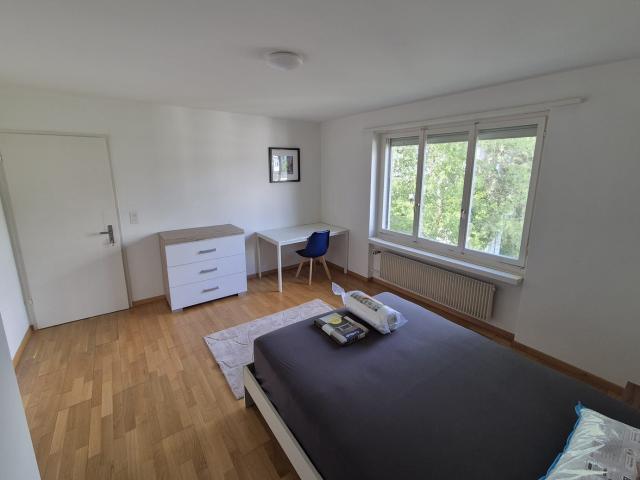 Zimmer mieten in Witikon, Zürich
