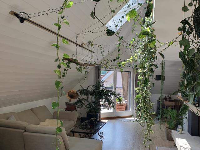 Zimmer mieten in Lü