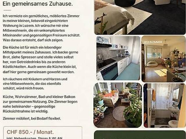 Zimmer mieten in Tribschen, Luzern