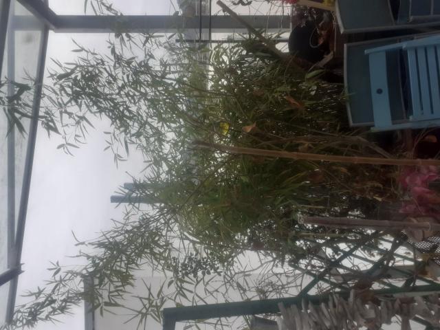 Zimmer mieten in Andritz, Gersdorf-Feistritz