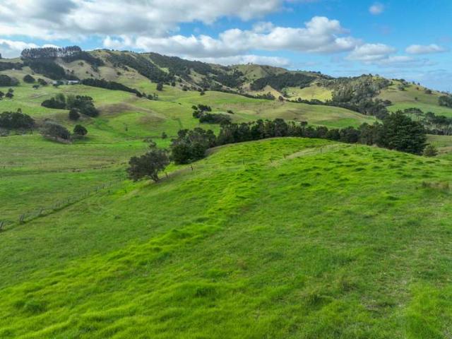 Property for sale in Northland