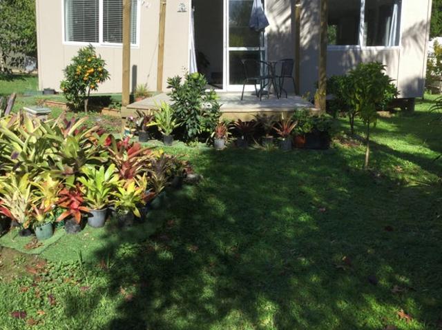 House for rent in Whangarei, Northland