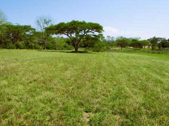 Land for sale in Ehlanzeni, Mpumalanga