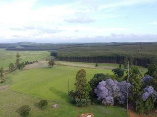 Farm for sale in Greytown, Kwazulu-natal