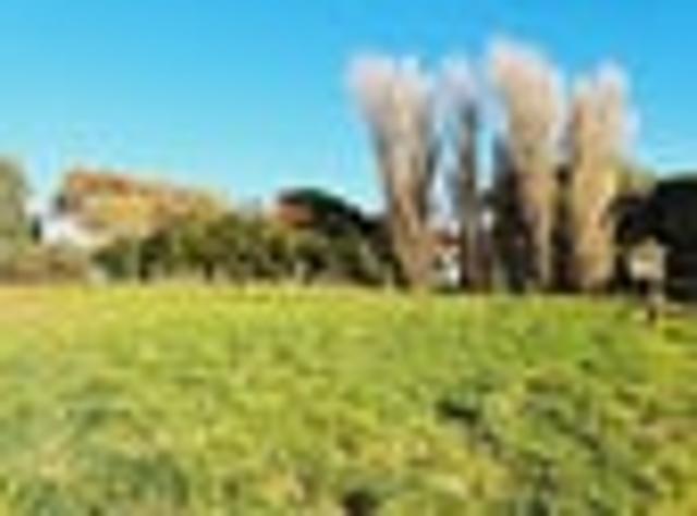 Land for sale in Longwood, Southland